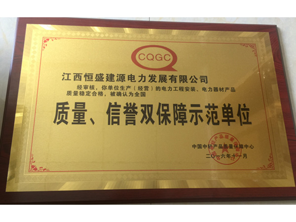 質(zhì)量、信譽(yù)雙保障示范單位