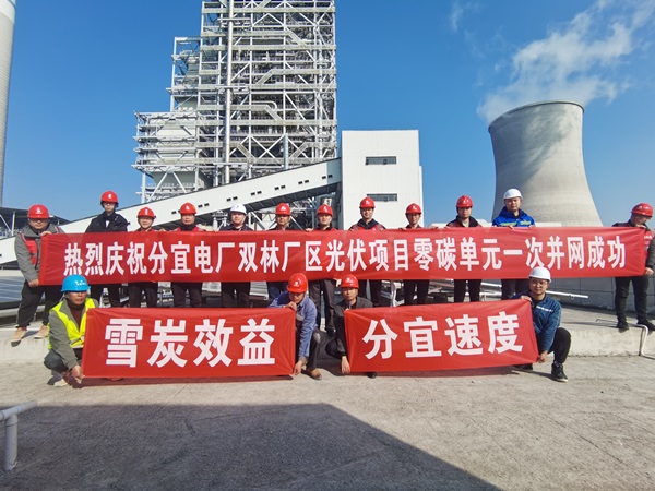 分宜電廠雙林廠區(qū)光伏項(xiàng)目 